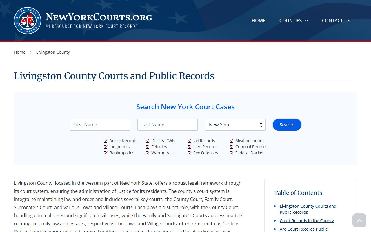 Livingston County records and case search for traffic court records